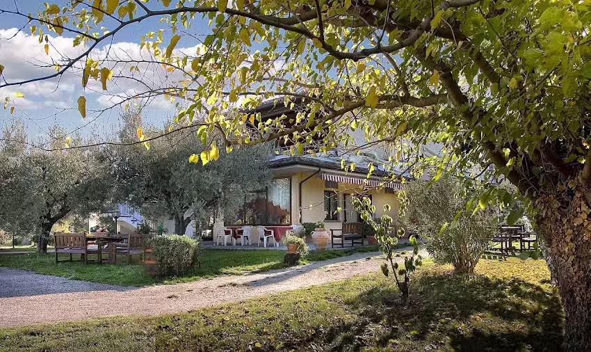 Al Mandorlo Ristorante Pizzeria