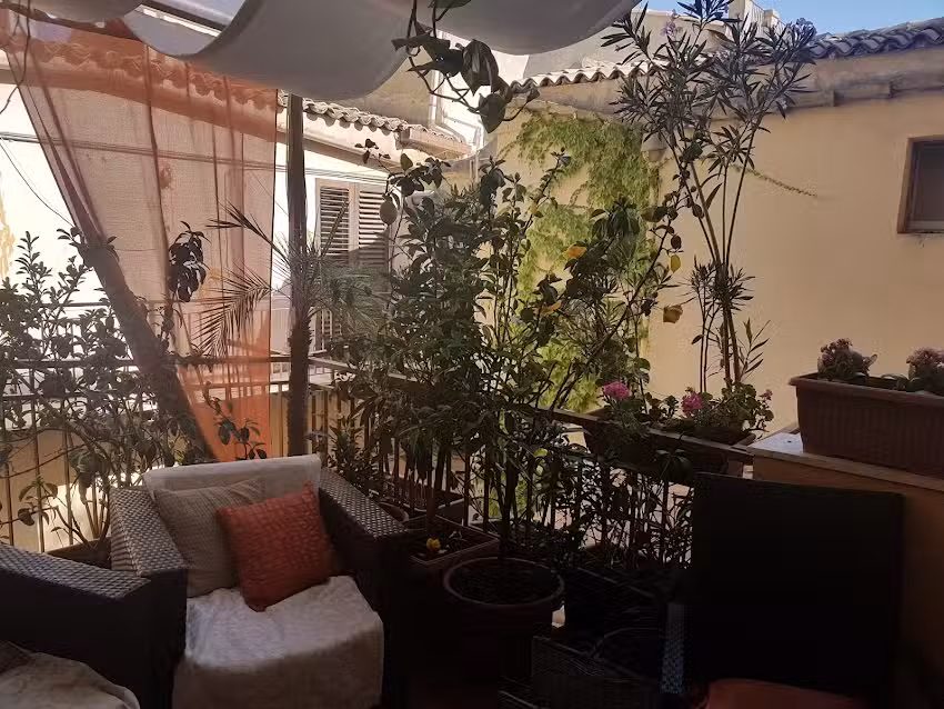 Al Vicoletto Di Tommaso Cantone & C.S.A.S.