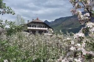 Albergo Gisshübelhof