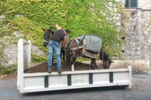 Albergo La Margherita Srl