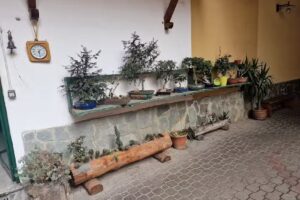 Albergo Ristorante Nazionale 1892