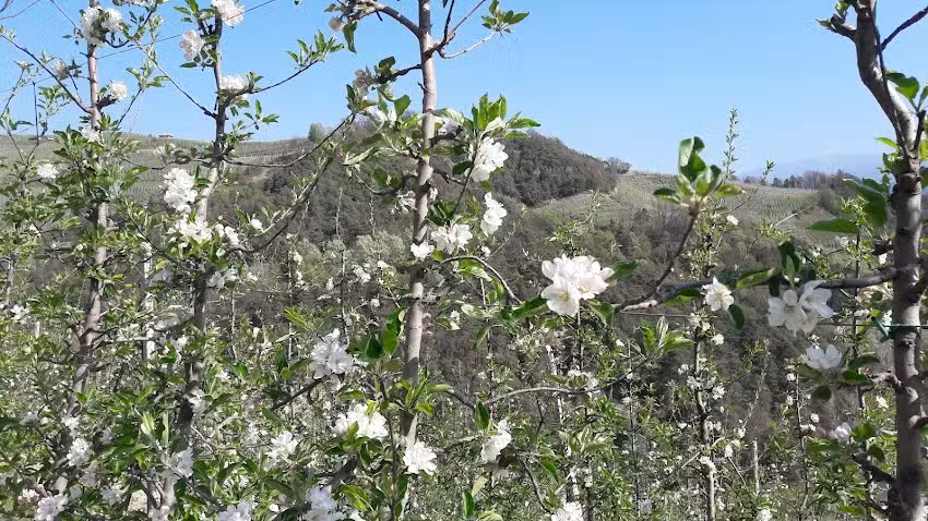 Albergo Ristorante Scoiattolo