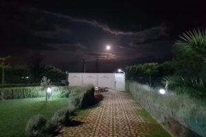 All’ombra del Carrubo Metaponto