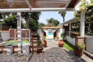 All’ombra del noce