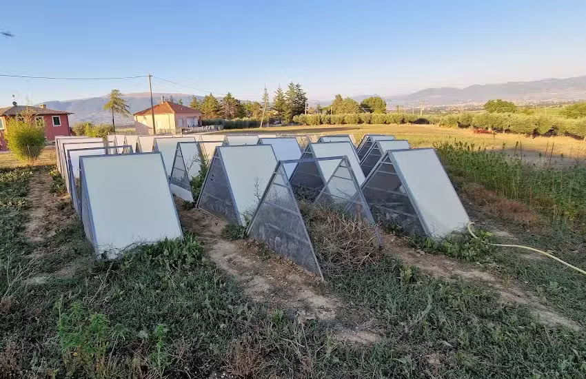 All’Ombra della Pia Società Agricola