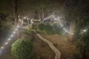 All’Ombra della Pineta