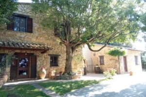 All’Ombra di San Damiano