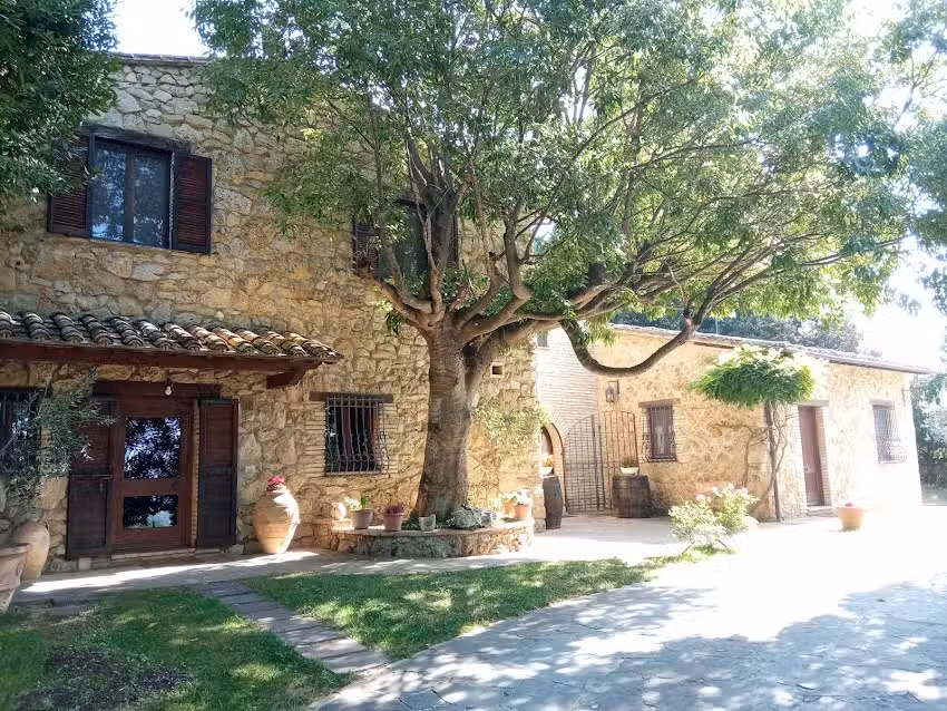 All’Ombra di San Damiano