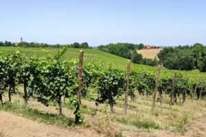 Alla Lupa dal Tizi e la Bea