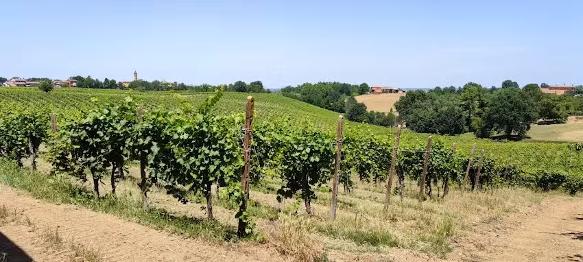 Alla Lupa dal Tizi e la Bea