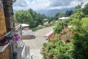 Alla Tana del Bianconiglio