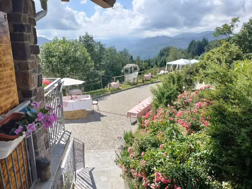 Alla Tana del Bianconiglio