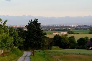 Allevamento del Ronchetto