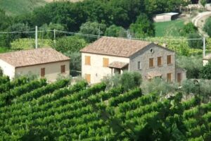Alloggio La valle dell’uva