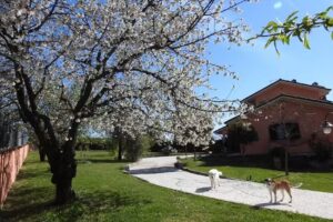 Alloggio Turistico confortevole Reino Trasei