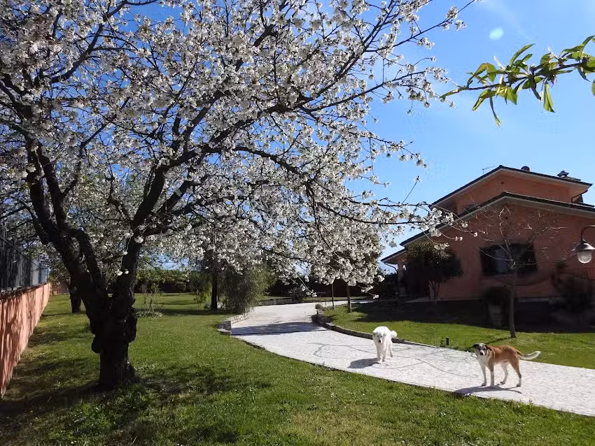 Alloggio Turistico confortevole Reino Trasei