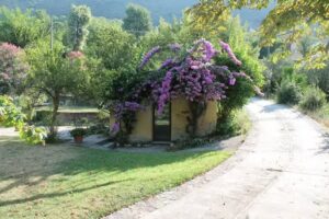 Alloggio Turistico Michele Fragnoli – CIN 060068C2KRAV5MN7