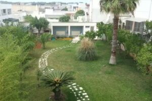 Alma Terra Salento B&B