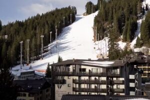 Alpen Hotel Vidi Campiglio