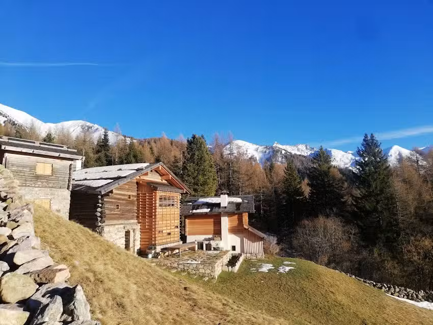 Alpenchalet Waldl – la Lepre, – lo Scoiattolo, – il Cervo
