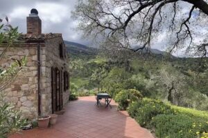 Always Paradise by Marion