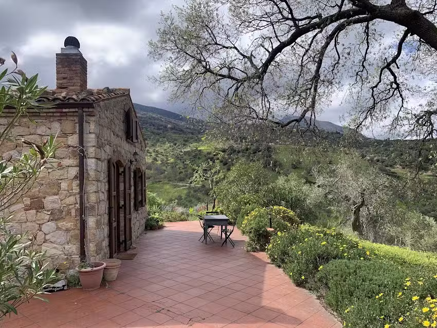 Always Paradise by Marion