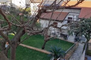 Alzeco b&b cilentano