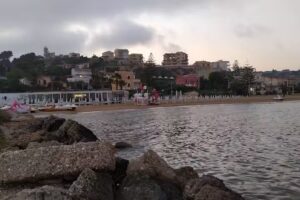 Anemone della Scala dei Turchi
