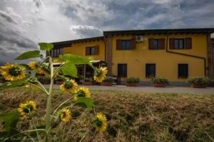 Angolo Nascosto Apartments