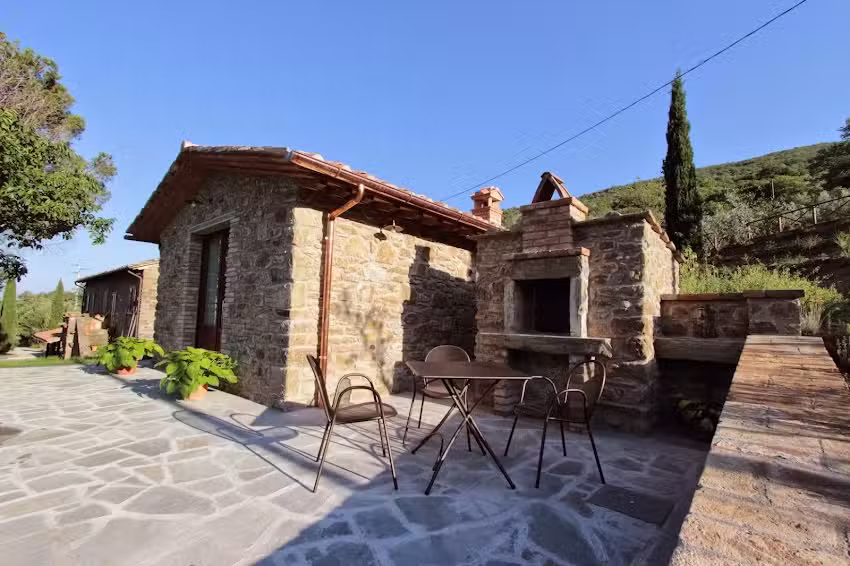 Antica Quercia Verde