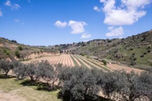 Antica Tenuta del Nanfro