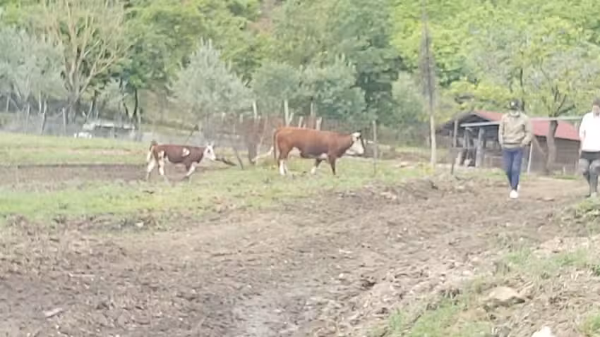 Antico Podere il Prato