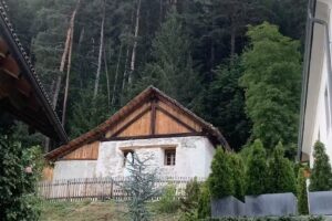 Apartments & historic Chalet Neuhaus