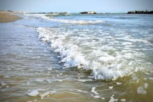 Appartamenti Orchidea Blu