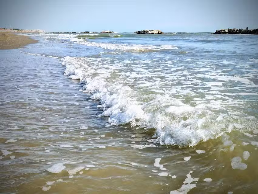 Appartamenti Orchidea Blu