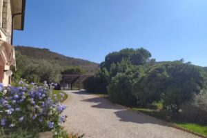 Appartamenti Serenity