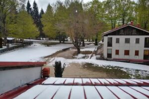 Appartamento Dei Boschi