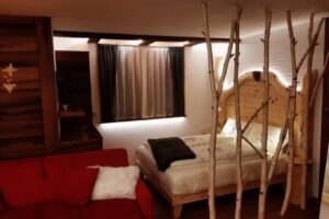 Appartamento “il Cirmolo Peio”