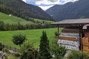 Appartement Wasserer der Hofer Martha