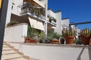 Arcobaleno Nettuno Bb