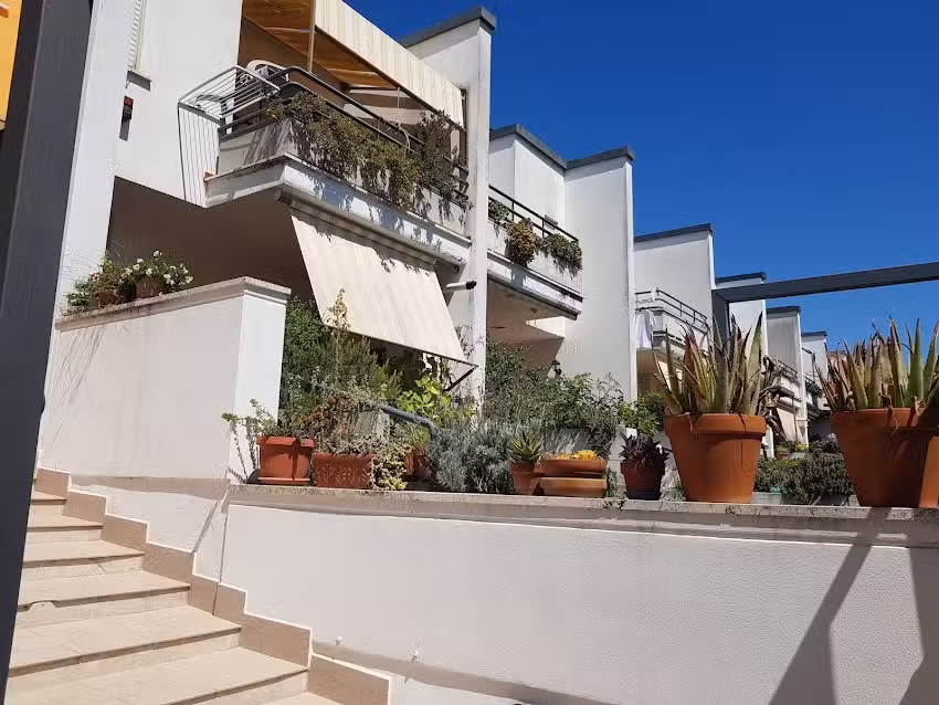 Arcobaleno Nettuno Bb