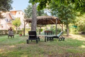 Artisti del Cavallo Tourism