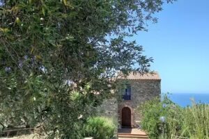 AsceaExperience Rooms