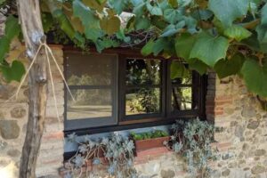 Az.Agr.Cimbolello-Agriturismo