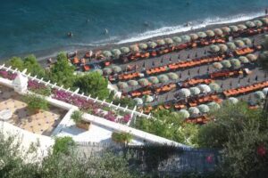 Az.Agricola “Il Tesoro” our family farm