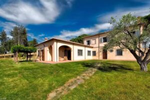 Az. agricola “Tenuta Cavallini”