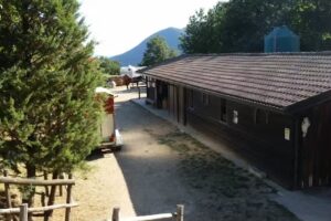 Azienda Agr. Il Castellaccio