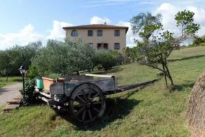 Azienda agraria la Steccaia Alta