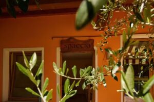 Azienda Agricola – Agriturismo “Le Caselle” di Goffi Nicola