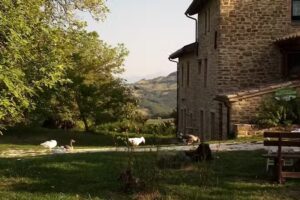 AZIENDA AGRICOLA BOSCOVECCHIO